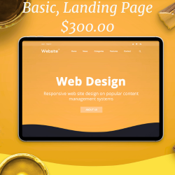 Landing Page Website